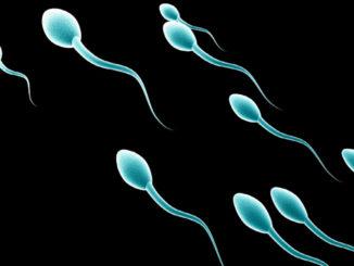 come aumentare lo sperma con i rimedi naturali