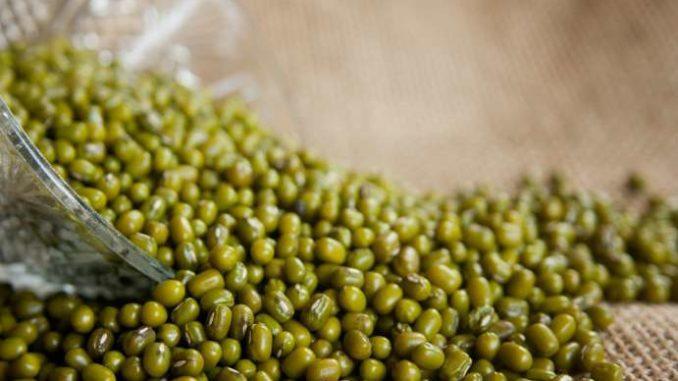 fagioli mungo soia verde benefici proprietà